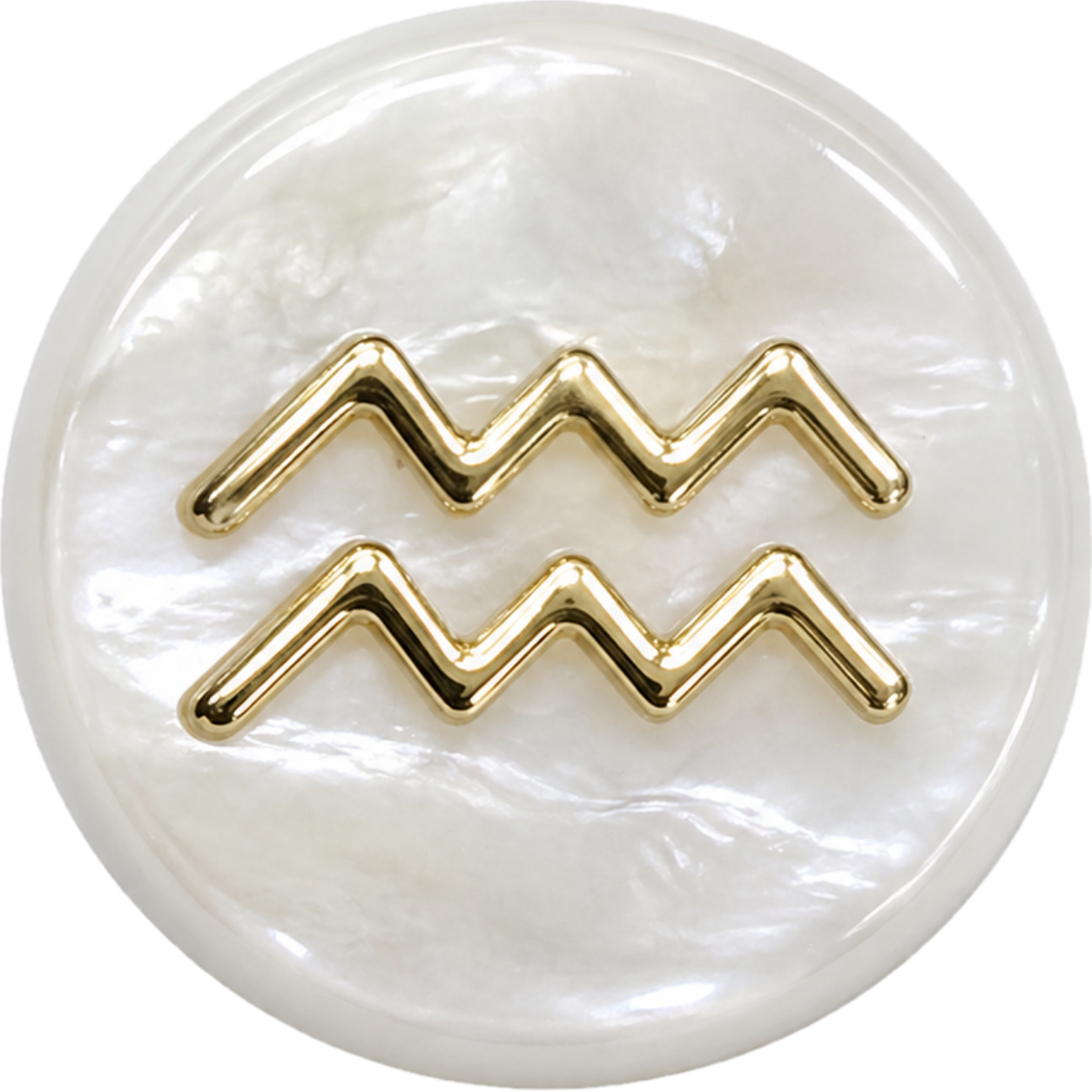 Aquarius Shell Bead