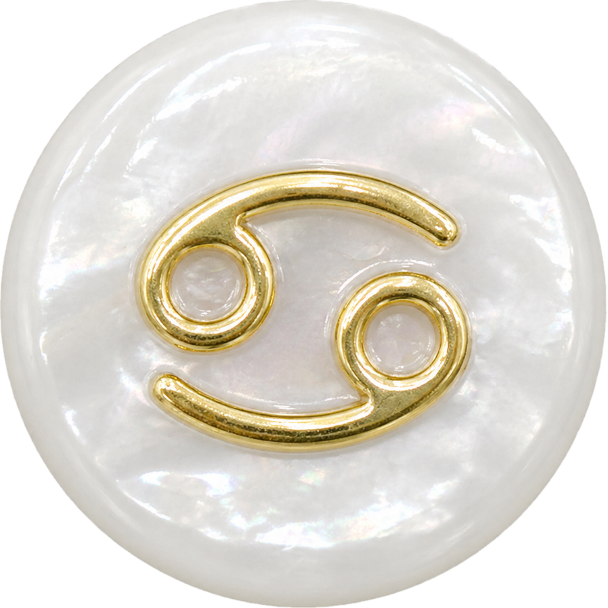 Cancer Shell Bead