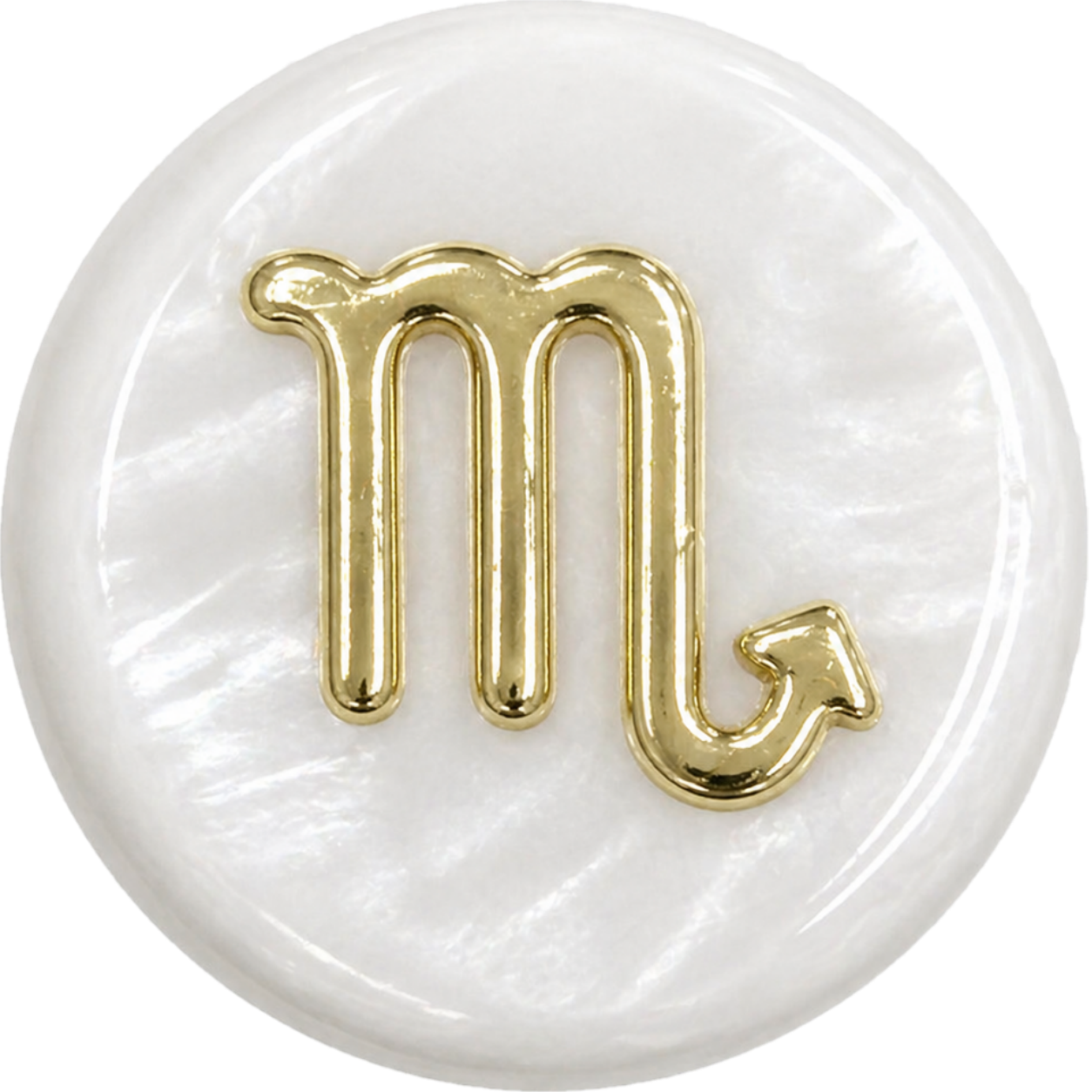 Scorpio Shell Bead