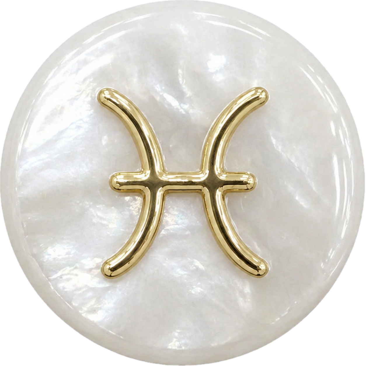 Pisces Shell Bead